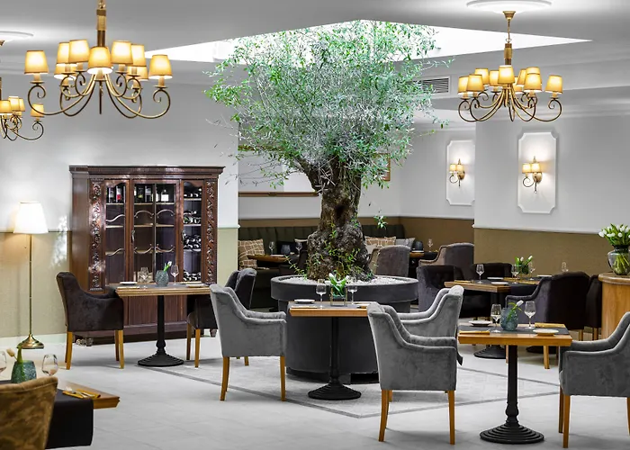 Ventus Rosa BoutiqueBoutique Hotel